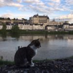 Amboise, Renaissance capital